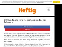 Bild zum Artikel: 20 Hunde, die ihre Menschen zum Lachen bringen.