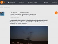 Bild zum Artikel: US-Präsident Trump: Angriffe auf Syrien haben begonnen