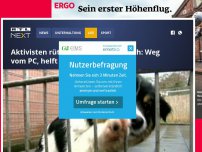 Bild zum Artikel: Appell an Tierschützer: Weg vom PC, helft im Tierheim!