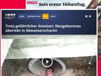 Bild zum Artikel: Trotz gefährlicher Ameisen: Neugeborenes überlebt in Abwasserschacht