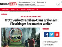 Bild zum Artikel: Trotz Verbot! Familien-Clans grillen am Pleschinger See munter weiter