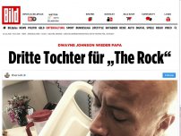 Bild zum Artikel: Dwayne Johnson - Dritte Tochter für „The Rock“