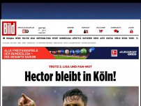 Bild zum Artikel: Trotz 2. Liga - Hector bleibt in Köln