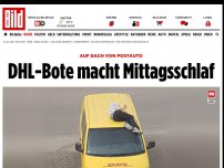 Bild zum Artikel: Auf Dach von Postauto - DHL-Bote macht Mittagsschlaf