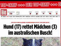 Bild zum Artikel: Aurora (3) war ausgebüxt - Hund (17) rettet Mädchen im australischen Busch!