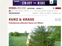 Bild zum Artikel: kurz & krass: Unbekannte pflanzen Baum vor Blitzer