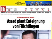 Bild zum Artikel: Bundesregierung alarmiert - Assad plant Enteignung von Flüchtlingen