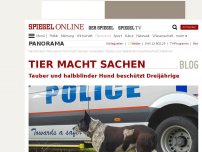 Bild zum Artikel: Tier macht Sachen: Tauber und halbblinder Hund beschützt Dreijährige