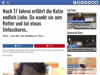 Bild zum Artikel: Nach 17 Jahren erfährt die Katze endlich Liebe. Da wankt sie zum Retter und tut etwas Unfassbares..