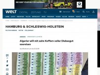 Bild zum Artikel: Albaner will mit zehn Koffern voller Diebesgut ausreisen