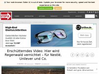 Bild zum Artikel: Erschütterndes Video: Hier wird Regenwald vernichtet – für Nestlé, Unilever und Co.