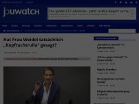 Bild zum Artikel: Hat Frau Weidel tatsächlich „Kopftuchtrulla“ gesagt?