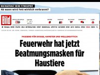 Bild zum Artikel: In Niedersachsen - Feuerwehr hat jetzt Beatmungsmasken für Haustiere