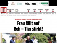 Bild zum Artikel: Skurriler Tierunfall - Füllige Frau fällt auf Reh – Genickbruch!