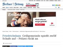 Bild zum Artikel: Friedrichshain: Grillgemeinde spießt zwölf Schafe auf – Polizei rückt an