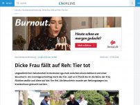 Bild zum Artikel: Dicke Frau fällt auf Reh: Tier tot