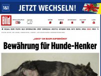 Bild zum Artikel: Tierquäler vor Gericht - Hund „Asko“ an Baum erhängt