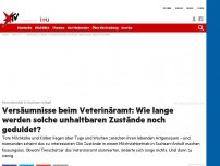 Bild zum Artikel: Horrorbetrieb in Sachsen-Anhalt: Versäumnisse beim Veterinäramt: Wie lange werden solche unhaltbaren Zustände noch geduldet?