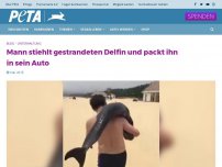 Bild zum Artikel: Mann stiehlt gestrandeten Delfin und packt ihn in sein Auto
