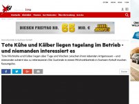 Bild zum Artikel: Horrorbetrieb in Sachsen-Anhalt: Versäumnisse beim Veterinäramt: Wie lange werden solche unhaltbaren Zustände noch geduldet?