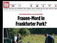 Bild zum Artikel: Hintergründe unklar - Frauen-Mord im Niddapark