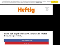 Bild zum Artikel: Hund mit zugebundener Schnauze in letzter Sekunde gerettet.