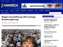 Bild zum Artikel: Wegen Grenzöffnung: AfD verklagt Bundesregierung