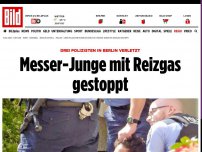 Bild zum Artikel: Drei Polizisten verletzt - Messer-Junge mit Reizgas gestoppt