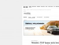 Bild zum Artikel: Weidel fordert die FDP zur Kooperation mit der AfD auf