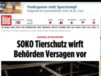 Bild zum Artikel: Skandal in Milchfarm - SOKO Tierschutz wirft Behörden Versagen vor