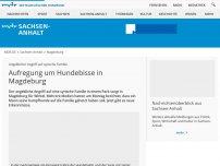 Bild zum Artikel: Angeblicher Angriff auf syrische Familie: Aufregung um Hundebisse in Magdeburg