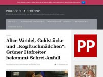 Bild zum Artikel: Alice Weidel, Goldstücke und „Kopftuchmädchen“: Grüner Hofreiter bekommt Schrei-Anfall