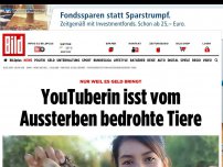 Bild zum Artikel: Nur weil es Geld bringt - YouTuberin isst vom Aussterben bedrohte Tiere