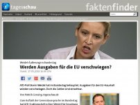 Bild zum Artikel: Weidel-Äußerung: Werden Ausgaben für die EU verschwiegen?