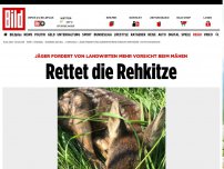 Bild zum Artikel: Tot durch Mähmaschinen - Rettet die Kitze 