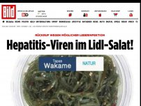Bild zum Artikel: Rückruf - Hepatitis-Viren im Lidl-Salat!