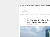Bild zum Artikel: Ökonomen-Aufruf: Der Euro darf nicht in die Haftungsunion führen!