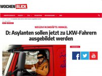 Bild zum Artikel: D: Asylanten sollen jetzt zu LKW-Fahrern ausgebildet werden!