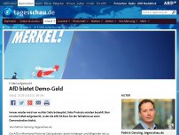 Bild zum Artikel: E-Mail aufgetaucht: AfD bietet Demo-Geld