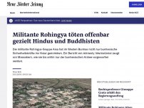 Bild zum Artikel: Militante Rohingya töten offenbar gezielt Hindus und Buddhisten