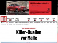 Bild zum Artikel: Erste Badeverbote! - Killer-Quallen vor Malle