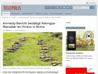 Bild zum Artikel: Amnesty-Bericht bestätigt Rohingya-Massaker an Hindus in Birma