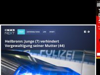 Bild zum Artikel: Junge (7) verhindert Vergewaltigung seiner Mutter (44)