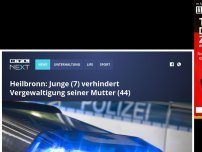 Bild zum Artikel: Junge (7) verhindert Vergewaltigung seiner Mutter (44)