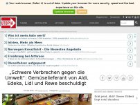 Bild zum Artikel: „Schwere Verbrechen gegen die Umwelt“: Gemüselieferant von Aldi, Edeka, Lidl und Rewe beschuldigt