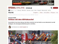 Bild zum Artikel: Deutsche Politik: Schluss mit dem AfD-Gekusche!