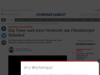 Bild zum Artikel: Zwei Schwerverletzte und ein Toter am Flensburger Bahnhof