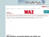 Bild zum Artikel: Brandanschlag: AfD-Politiker verspottet Mutter der Opfer von Solingen