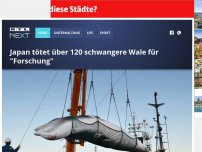 Bild zum Artikel: Japan tötet über 120 schwangere Wale für 'Forschungszwecke'