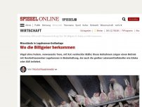 Bild zum Artikel: Missstände in Legehennen-Großanlage: Wo die Billigeier herkommen